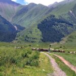 Shamsi Valley