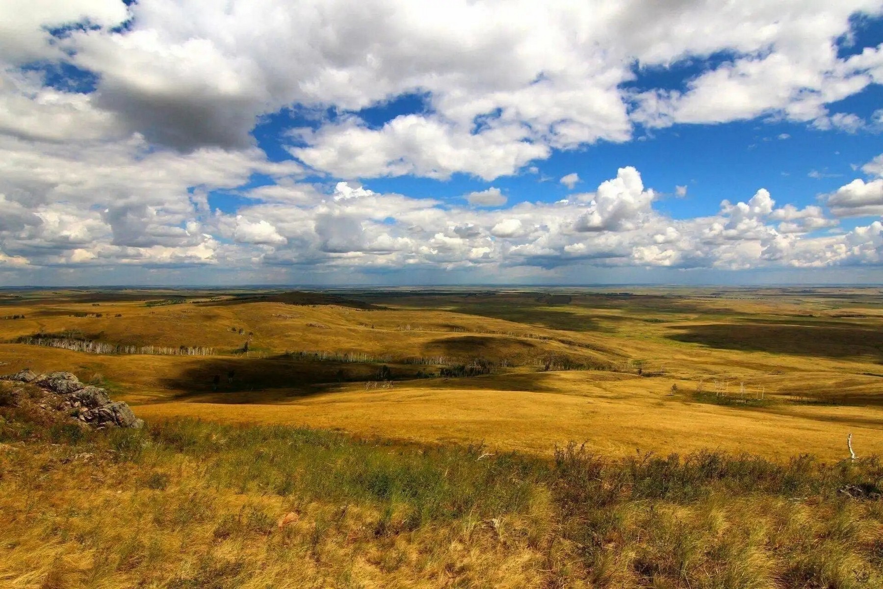 The Great Steppe Of Saryarka Tours To Uzbekistan Central Asia