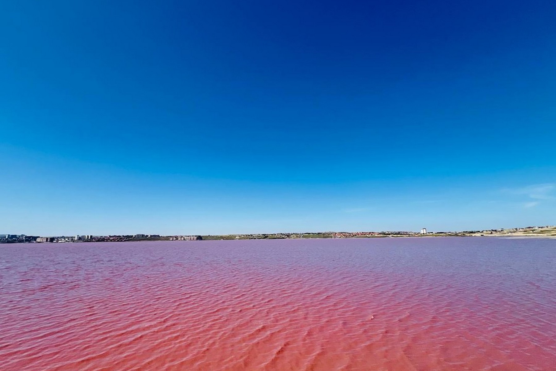 The Pink Lake Of Masazir Tours To Uzbekistan Central Asia