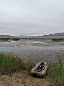 photo 2026 07 27 16 03 58