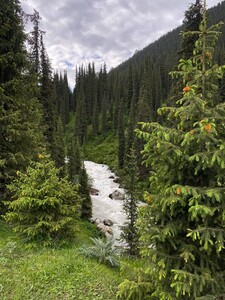 photo 2026 06 25 15 45 04