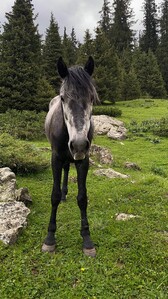 photo 2026 06 25 15 45 17