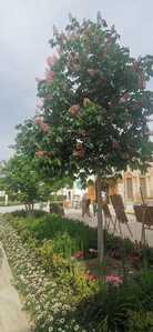 photo 2026 04 29 13 29 16