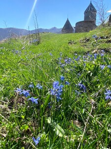 photo 2026 07 13 15 57 56